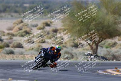 media/Apr-14-2024-SoCal Trackdays (Sun) [[70f97d3d4f]]/1-Turn 5 Tree of Life (920am)/